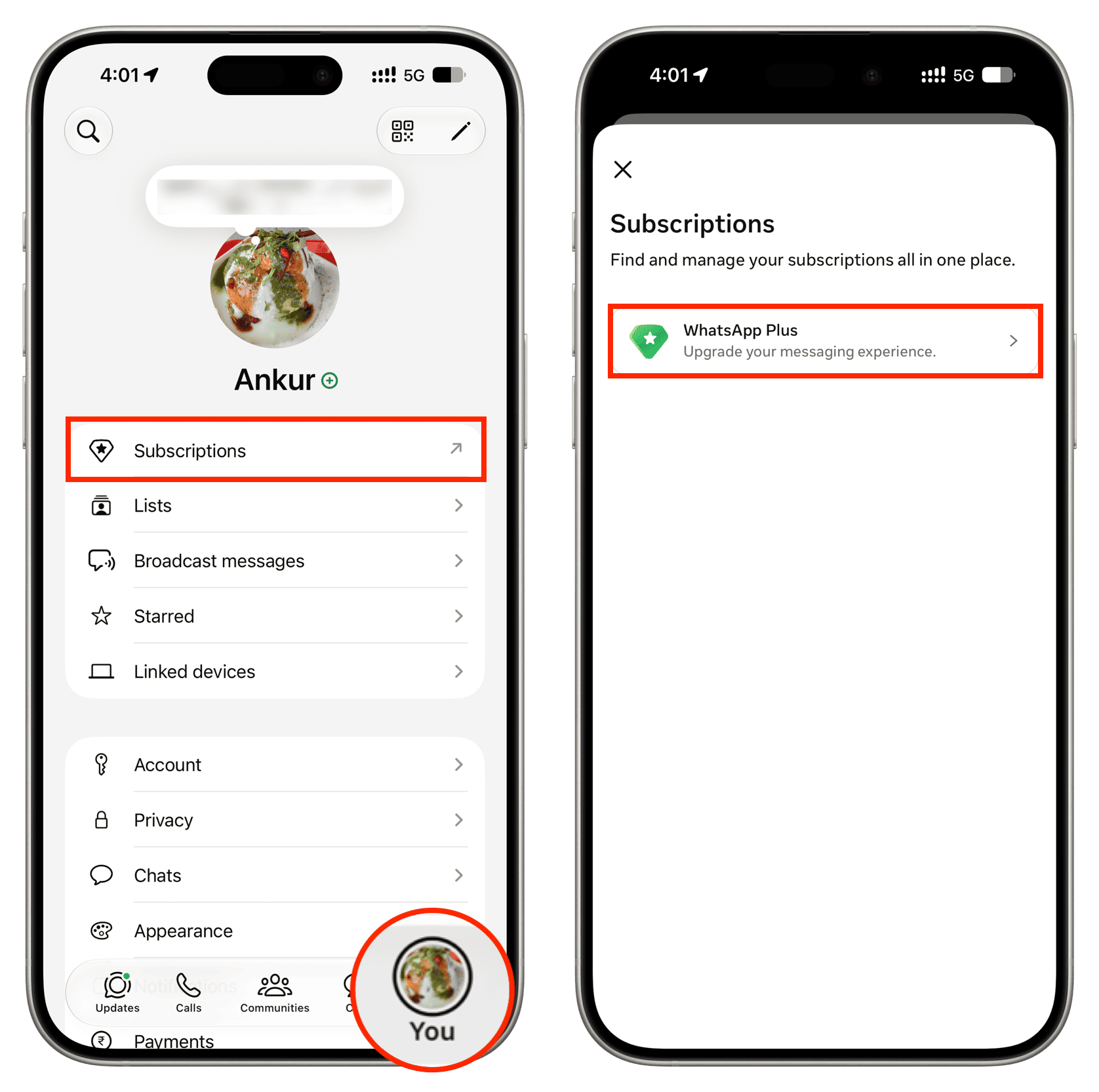 Tap Subscriptions WhatsApp Plus in on iPhone