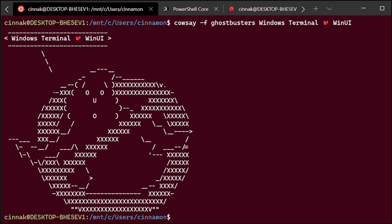 The terminal in Windows.